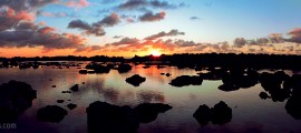 jay alders sharks-cove-panoramic-3