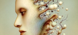 naoto hattori8