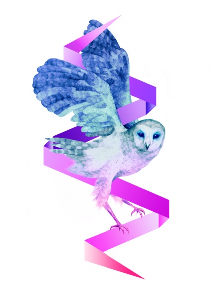 owl